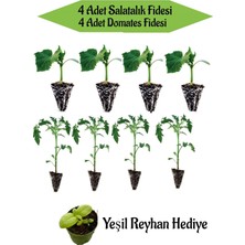 Bitkim Sende 4 Adet Salatalık Fidesi + 4 Adet Domates Fidesi Mini Reyahan Hediyeli Bahçe Seti