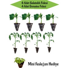 Bitkim Sende 4 Adet Salatalık Fidesi + 4 Adet Domates Fidesi Mini Fesleğen Hediyeli Bahçe Seti