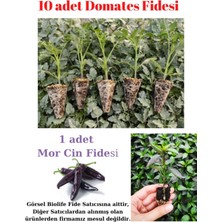 Bitkim Sende Pembe Köy Domates Fidesi Yerli Tohum 10 Adet, Mor Cin Biber Fidesi 1 Adet