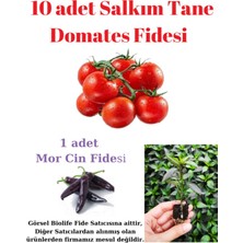 Bitkim Sende Salkım Tane Domates Fidesi Yerli Tohum 10 Adet, Mor Cin Biber Fidesi 1 Adet