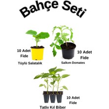 Bitkim Sende Bahçe Seti 10 Adet Tüylü Salatalık+ Salkım Domates+Tatlı Kıl Biber Fidesi