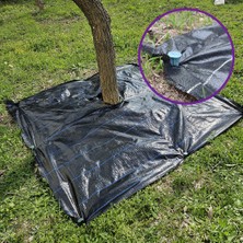 Sera Trend 2x2 Metre Ağaç Koruma Örtüsü ve Sabitleme Çivisi Yer Örtüsü Yabani Ot Engelleme Paspası Ağaç Dibi Bezi Sulzer Kumaş