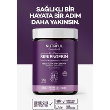 Nutriful Nutrifulı?bn-I Sina Sirkengebin Prebiyotik Form Macunu