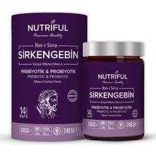 Nutriful Nutrifulı?bn-I Sina Sirkengebin Prebiyotik Form Macunu