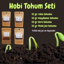 Pauls Micro Farm Hobi Tohum Seti 10GR Roka / 10GR Maydanoz / 10GR Tere / 10GR Fesleğen