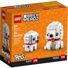 LEGO 40546 Brickheadz Kaniş (304 Parça)