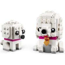 LEGO 40546 Brickheadz Kaniş (304 Parça)