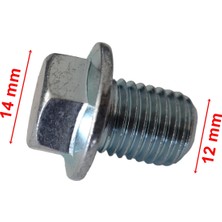 Cg Model Uyumlu Yağ Tapa Civatası 5 Adet - Erpilsan