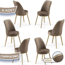 Canisa Pefa Serisi 6 Adet Mutfak Sandalyesi Gold Kaplama Metal Ayak 1. Sınıf Babyface Kumaş