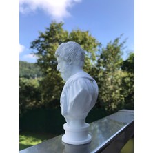 Root Made Roma Imparatoru Marcus Aurelius Dekoratif Obje Kitaplık Dekor Hediyelik Biblo