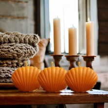 Miss Lina 3lü Midye Kokulu Mum Turuncu Renk