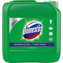 Ariel Dağ Esintisi Toz Çamaşır Deterjanı Renkliler Için 7 Kg-Porçöz Premium Bulaşık Makinesi Deterjanı Jel 900 Ml-Domestos 3240 ml Çam Ferahlığı Yoğun Kıvamlı Çamaşır Suyu