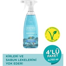 Viking Banyo Spreyi Dağ Nanesi 750 ml -4'lü-