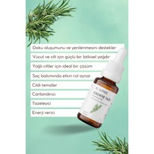 Sourbe Biberiye Yağı %100 Doğal Bitkisel Uçucu Yağ Rosemary Oil 10ML