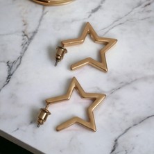 Bay-Kuş Bijuteri Çelik Küpe Yıldız