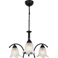 Woodhub Modern Gonca Beyaz Albastır 3 Siyah Metal 3