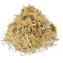 Betonish - Sphagnum Yosunu 5 LT