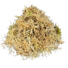 Betonish - Sphagnum Yosunu 10 LT