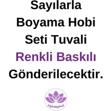 Lilyhobbyland Renkli Baskılı Sayılarla Boyama Hobi Seti (Çerçeveli-Büyük Boy) 95X125 Cm: Soyut Kaplan 3
