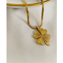 Nilotus Italyan Zincir Gold Yonca Kolye [garantili Ürün] Çelik