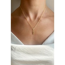 Qashmir Z Harfli Gold Zincir Kolye