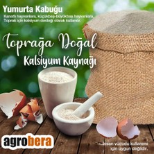 Agrobera Yumurta Kabuğu