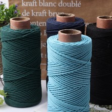 Haicheng Shop Bej Tarzı 3mm Pamuk Kordon Renkli Halat Kordon Bej Bükülmüş Makrome Kordon Dize Dıy Craft Ev Tekstili Düğün Dekoratif Tedarik 110 Yards (Yurt Dışından)