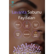 Anatolia Soap Lavanta Sabunu