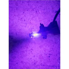 Ricco H1 / H3 / H4 / H7 / H11 / H27 / 9005 / 9006 Slim Mini LED Xenon Purple Mor Renk 8000LM Mor LED Zenon