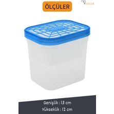 Viselia Nem Alıcı Rutubet Giderici Önleyici Cihaz Tablet 200 gr x 12'li