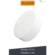 Viselia Nem Alıcı Cihaz Rutubet Giderici Aparat 450GR 12'li