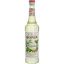 Monin Ginger Zencefil Aromalı Şurup 700 ml