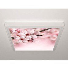 Gök Panel 60X60 LED Panel Sıva Üstü Desenli Tekli 46510009SU