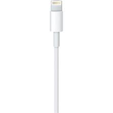 Oem Apple Lightning (2m) USB Kablo - MD819ZM/A Apple Türkiye Garantili