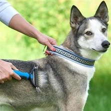 Epilons Plastik Saplı Metal Kedi Köpek Bakım Kıtık Tüy Topak Açıcı Tarak