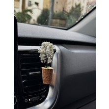 Plantarrium Design Oto Aksesuar/koku-Minyatür Ağaç