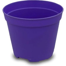 Serada Decor Plant Katı Plastik Sukulent Saksısı 5 Adet Koyu Mor  (5.5 Cm)