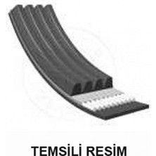 Bando Kanalli Kayiş Bravo-Brava-Fiesta-Transit-Mercedes-Lgn Ii-Corolla 18051