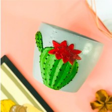 binbirdemet Binbirdemet Kaktüs Desenli Beton Saksı