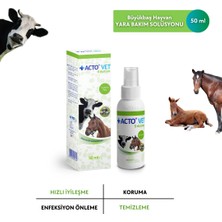 Acto Acto® Vet Solutıon 50 ml Büyükbaş Hayvanlar Için Yara Bakım Solüsyonu