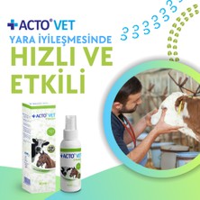 Acto Acto® Vet Solutıon 50 ml Büyükbaş Hayvanlar Için Yara Bakım Solüsyonu