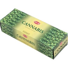 Cannabis Hexa