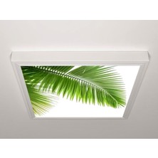 Gök Panel 60X60 LED Panel Sıva Üstü Desenli Tekli 46510905SU