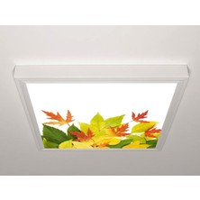 Gök Panel 60X60 LED Panel Sıva Üstü Desenli Tekli 46510971SU