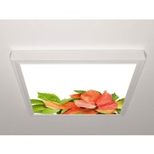 Gök Panel 60X60 LED Panel Sıva Üstü Desenli Tekli 46510980SU