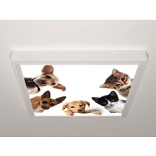 Gök Panel 60X60 LED Panel Sıva Üstü Desenli Tekli 46511101SU