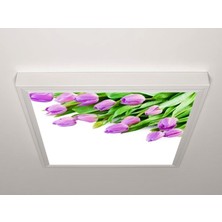 Gök Panel 60X60 LED Panel Sıva Üstü Desenli Tekli 46511114SU