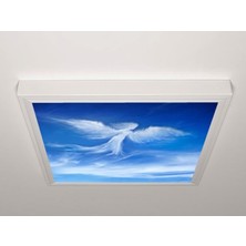 Gök Panel 60X60 LED Panel Sıva Üstü Desenli Tekli 46511146SU