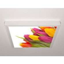 Gök Panel 60X60 LED Panel Aydınlatma Armatür Avize Sıva Üstü Desenli Tekli 46511117SU