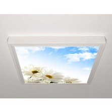 Gök Panel 60X60 LED Panel Aydınlatma Armatür Avize Sıva Üstü Desenli Tekli 46511124SU